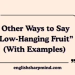 Other Ways to Say “Low-Hanging Fruit” (With Examples)