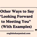 Other Ways to Say “Looking Forward to Meeting You” (With Examples)