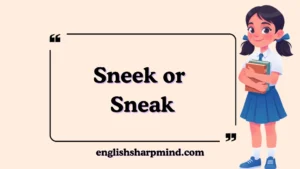 Sneek or Sneak