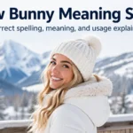 Snow Bunny Meaning Slang