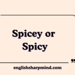 Spicey or Spicy
