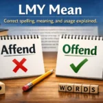 What Does LMY Mean in Text?
