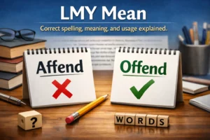 What Does LMY Mean in Text?
