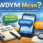 What Does WDYM Mean in Text?