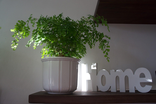 When A Direct Home Sale Makes More Financial Sense