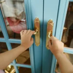 Connecting Indoor and Outdoor Spaces The Role of French Doors