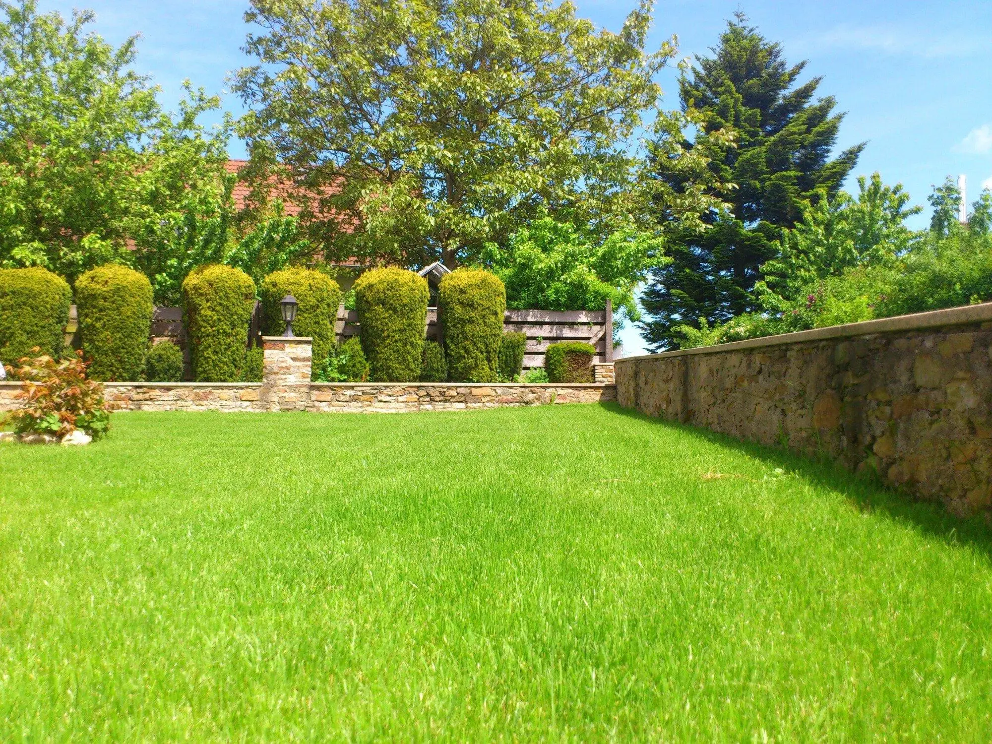How Eco-Friendly Landscaping Can Enhance Property Value