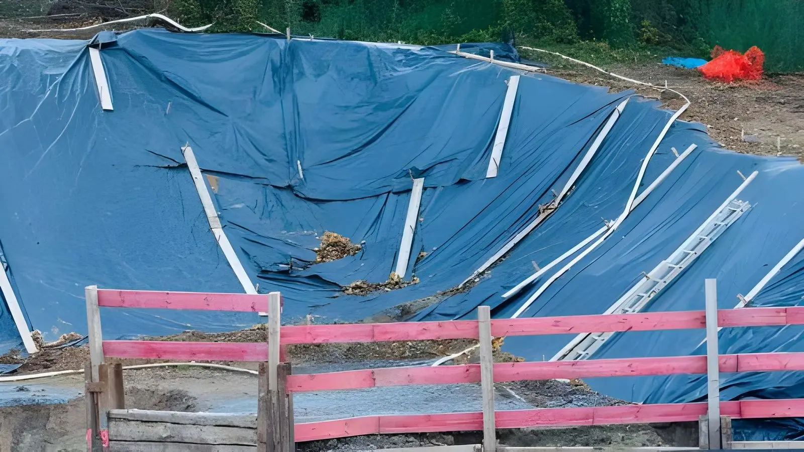 The Case for Storm Protection That Doesn't Sacrifice Natural Light