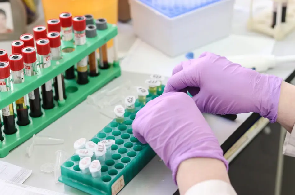 Understanding Preclinical Research A Comprehensive Guide
